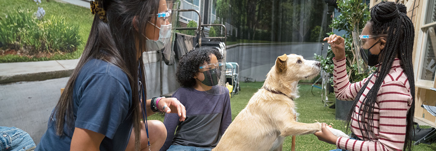 A dog giving a girl a hi-five for a treat.