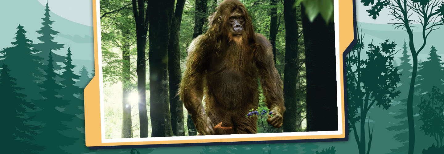 Bigfoot standing in a forest holding purple flowers